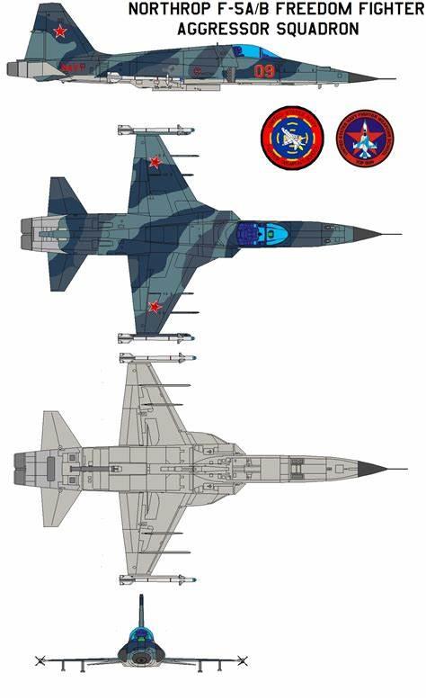 F-5战斗机（绰号：“虎” Tiger）_1130011