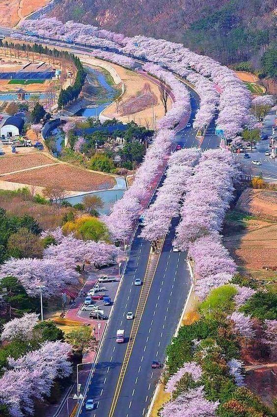 高速公路的景观_3504490