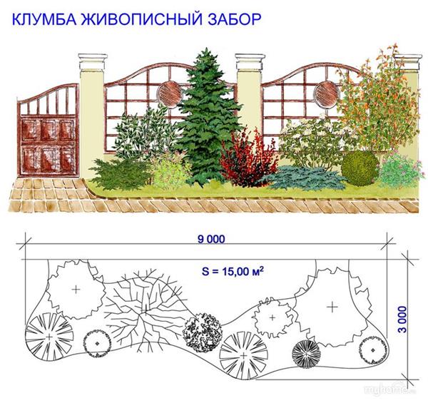 景观植物的平面和立面画法_3578373