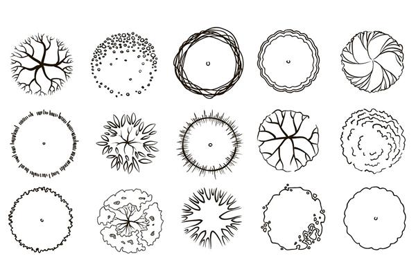 园林植物平面手绘图例_3573120
