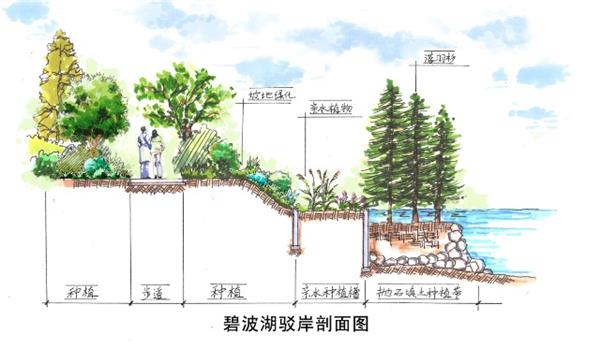 湿地剖面图_3510079