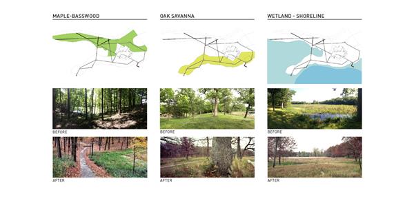 马里恩湖住宅：艺术与生态的联系（ASLA住宅设计类荣誉奖）_3525039