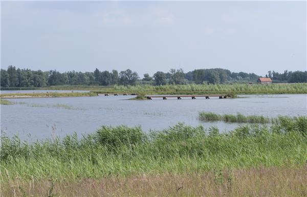 诺德沃德（Noordwaard）项目（2019年基础设施类别冠军）_3525490