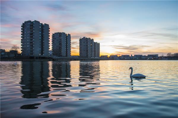 生活在风景中（LIAwards 2020年决赛入围者-可视化和数字实践卓越奖、景观规划与评估卓越奖）_3527798