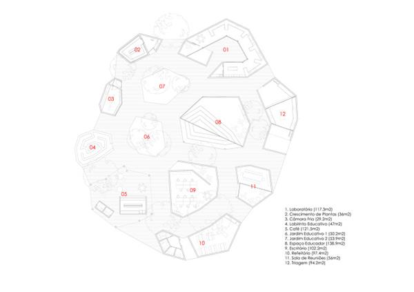 Inhotim植物园_3545139