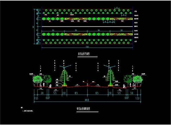 道路绿化标准平面、绿化标准横断面、dwg、植物配置_3585088