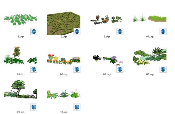3D地被、灌木、花卉_3591804