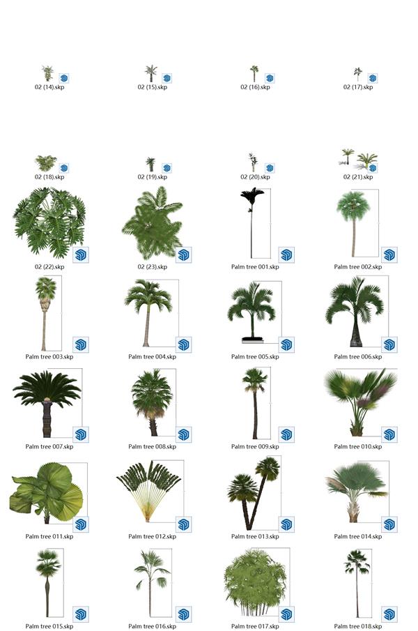 3D热带植物（2）_3592278