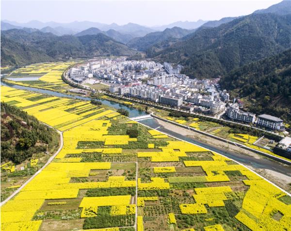 项目展示|淳安县临岐镇全域规划（美丽城镇建设行动方案篇）_3595705