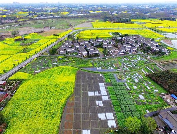 四川乡村振兴网红案例调研（十一）：三道堰青杠树村乡村旅游发展纪实_3741138