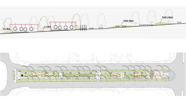 以色列埃米尔林荫道景观改造_3597145
