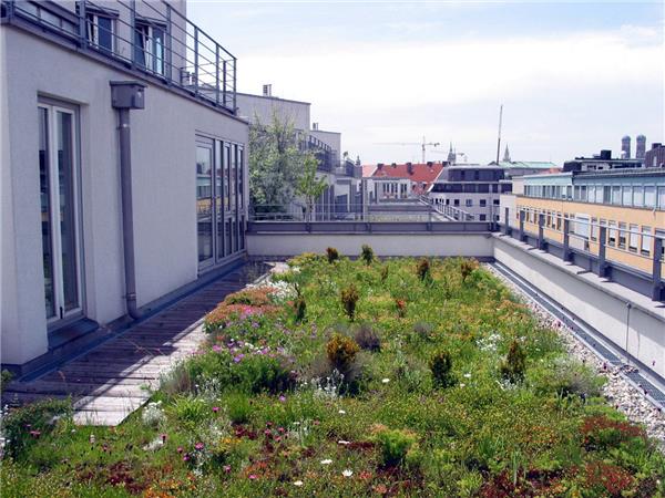 位于巴伐利亚大都市中心的屋顶花园_3601713