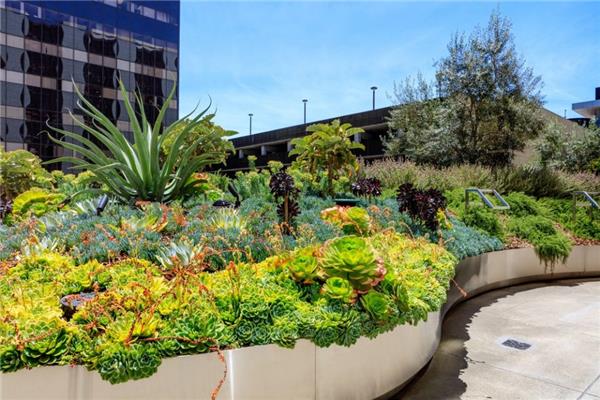 洛杉矶Cedars-Sinai医疗中心屋顶花园_3602188