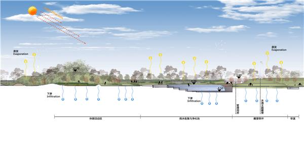 海绵城市公园剖面图PSD分层素材（6）_3605686