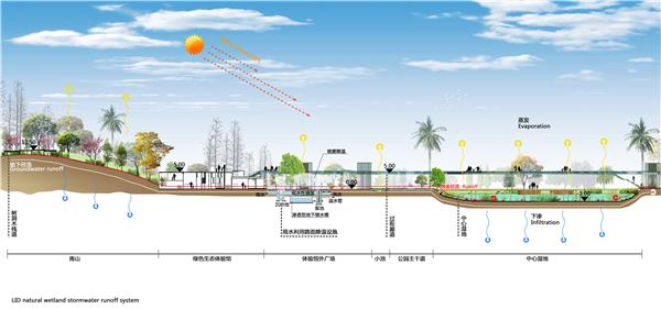 海绵城市公园剖面图PSD分层素材（9）_3605689