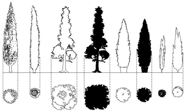 景观植物的平面和立面画法_3578365