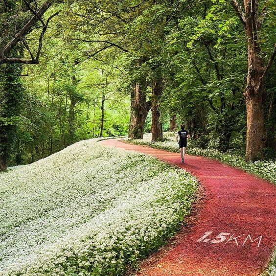 城市风景 健身跑道_3627095