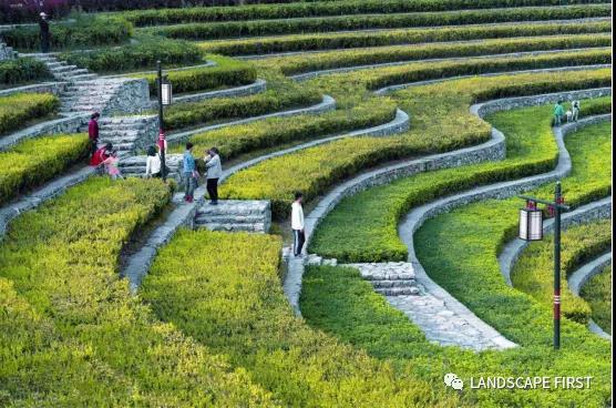 大地指纹 古彝梯田 Yi Terraces_3630942