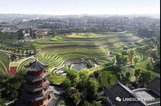 大地指纹 古彝梯田 Yi Terraces_3630942