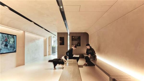 意大利 A’ Design Award 室内设计银奖，中国最美的宠物医院_3639442