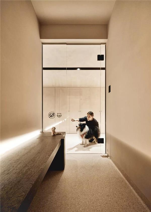 意大利 A’ Design Award 室内设计银奖，中国最美的宠物医院_3639442