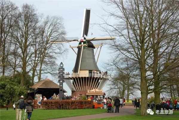 库肯霍夫（Keukenhof）：探秘世界最美的花卉公园_3643438