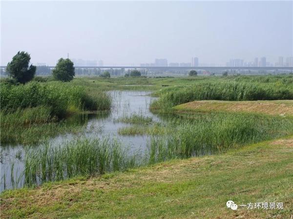 渭柳湿地公园—乡野河滩的水环境修复与再生_3717755