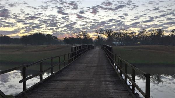 HOUSTON BOTANIC GARDEN | WEST 8-景观设计_415046