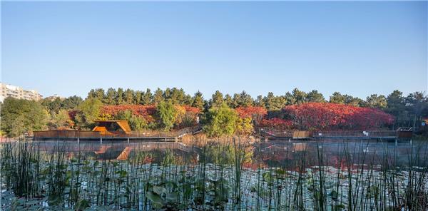 长春水文化生态园#公园 #景观 #风景 