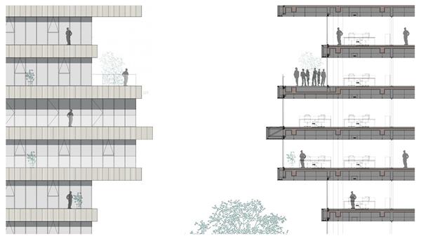 杭州师范大学-建筑设计_415950