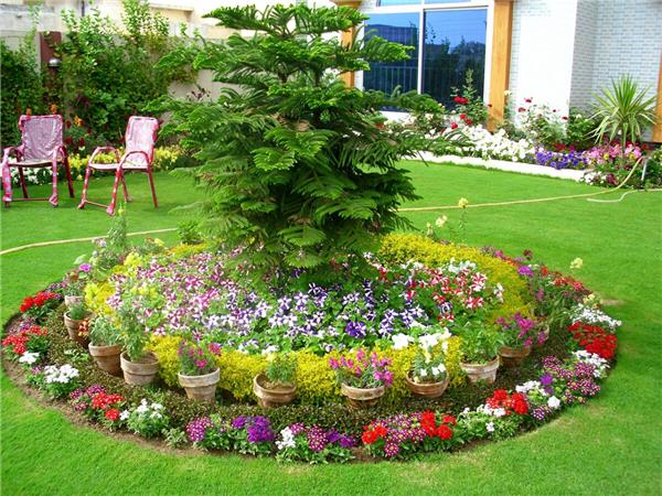 (花坛设计)#(花)#(花卉)#(园林)#(园林景观)#(设计)#(花园)#(植物)