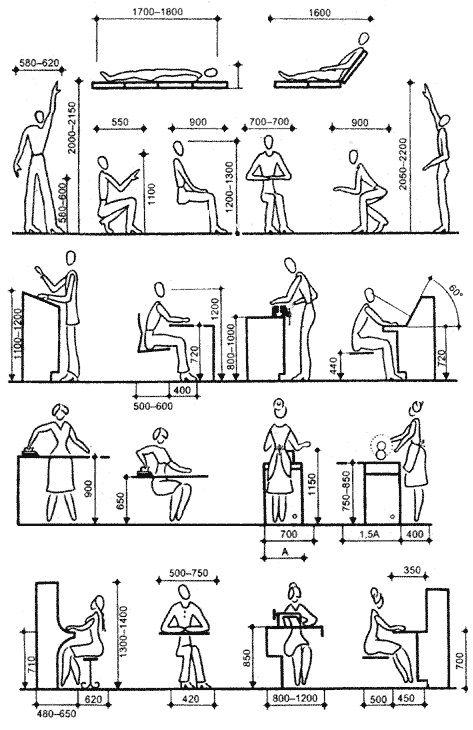 通用人体尺度_430527