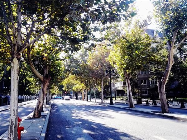 泰安道街道环境保护与整治规划