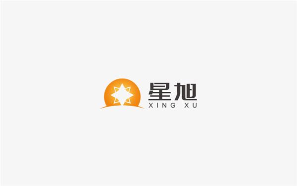 宋惜-logo设计#logo设计 #标志设计 #字体设计 