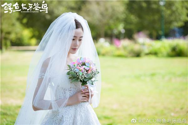 张天爱婚纱造型照片_婚纱摄影图片_650781