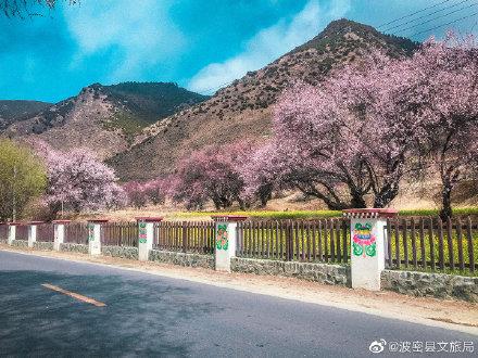 西藏自治区林芝市嘎拉村旅游景点