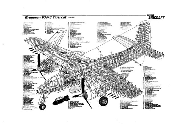 F7F“虎猫”战斗机_1817723