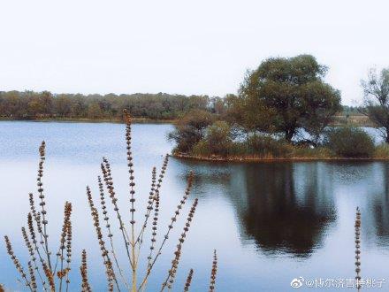 内蒙古自治区通辽市大青沟自然保护区旅游景点_701238