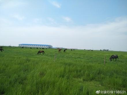 内蒙古自治区通辽市珠日河草原旅游景点_701270