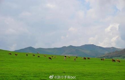 内蒙古自治区通辽市科尔沁草原旅游景点_701363