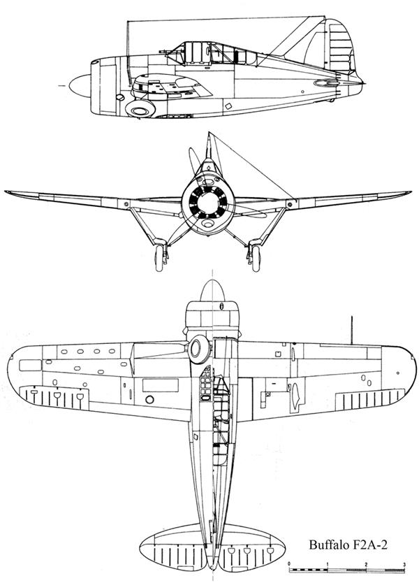 F2A水牛式战斗机_1817809