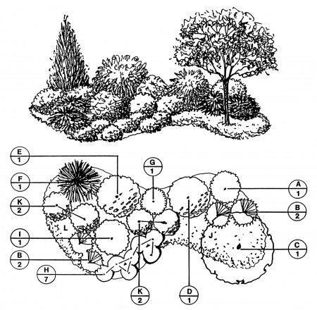 景观植物的平面和立面画法_3578361