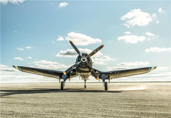 F4U/FG-1战斗机（绰号：“海盗” Corsair）_1817684