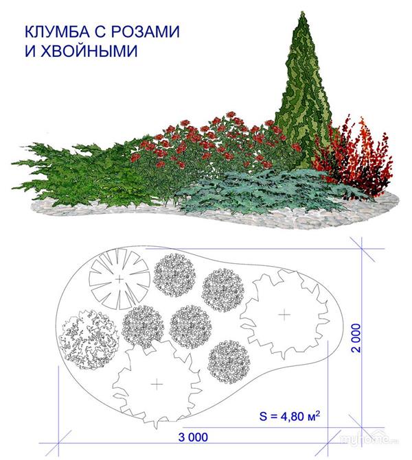 景观植物的平面和立面画法_3578374