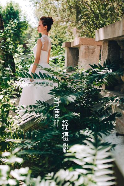 森林系列#婚纱摄影 