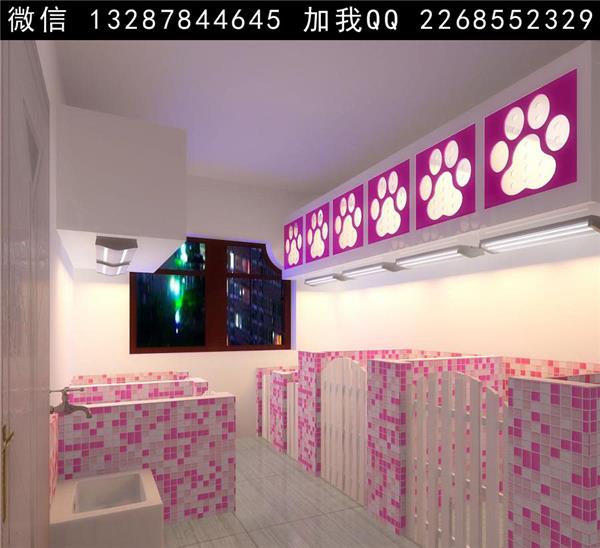 宠物店设计案例效果图_623605