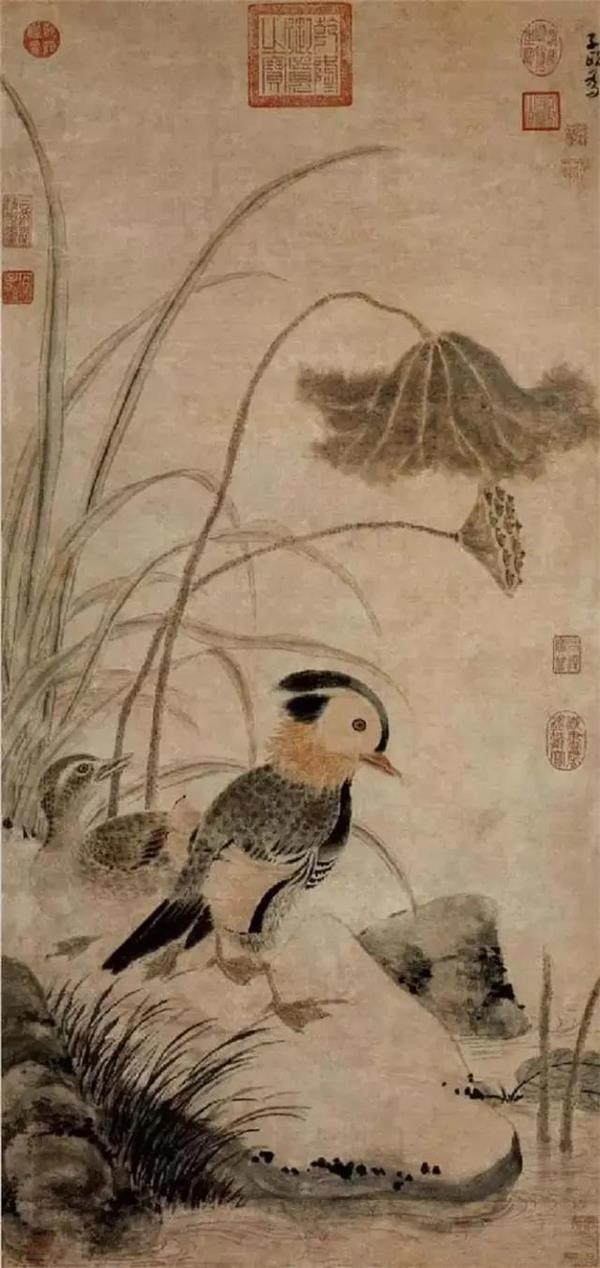 名家画荷，淡看浮华_2647569