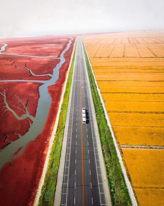 高速公路的景观_3504493