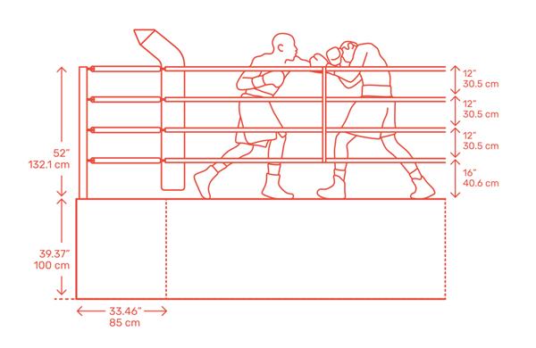 拳击台尺寸_3710400