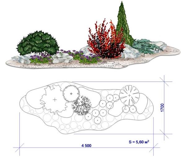 景观植物的平面和立面画法_3578371